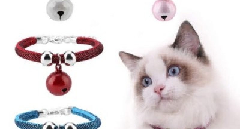 Vòng cổ cho mèo